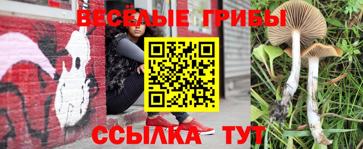 Иваново  Псилоцибиновые грибы мицелий  Галлюциногенные грибы мицелий  Вход с VPN 